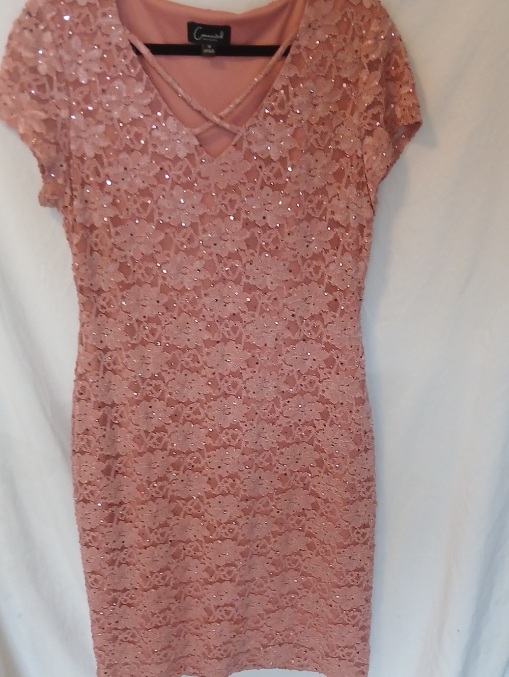 Fun Sparkly Pink Floral Lace Dress